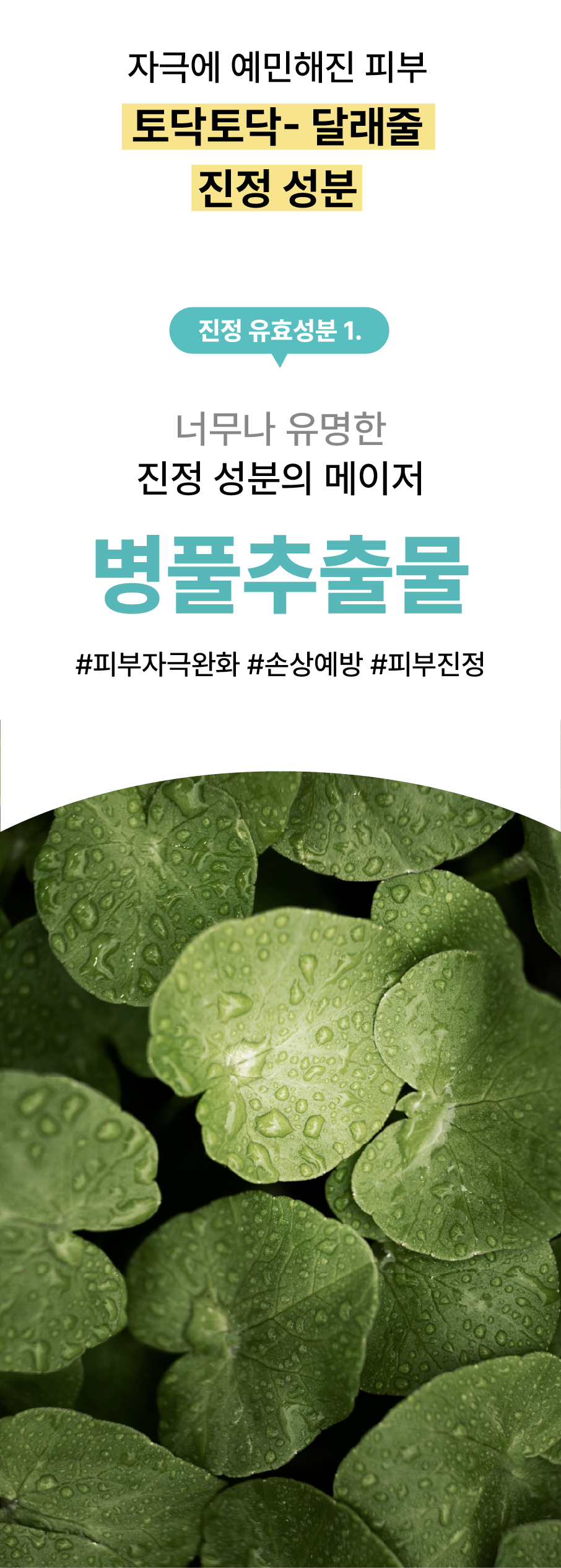 108257685553099096_1644617810.png