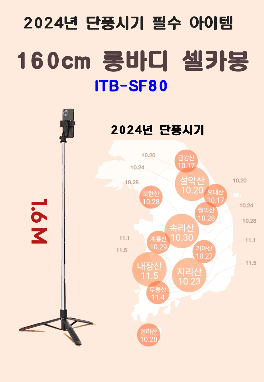 SF80행사.jpg