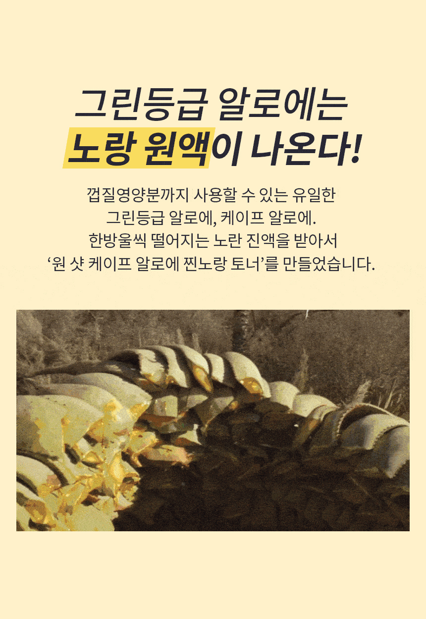 원샷케이프알로에03.jpg