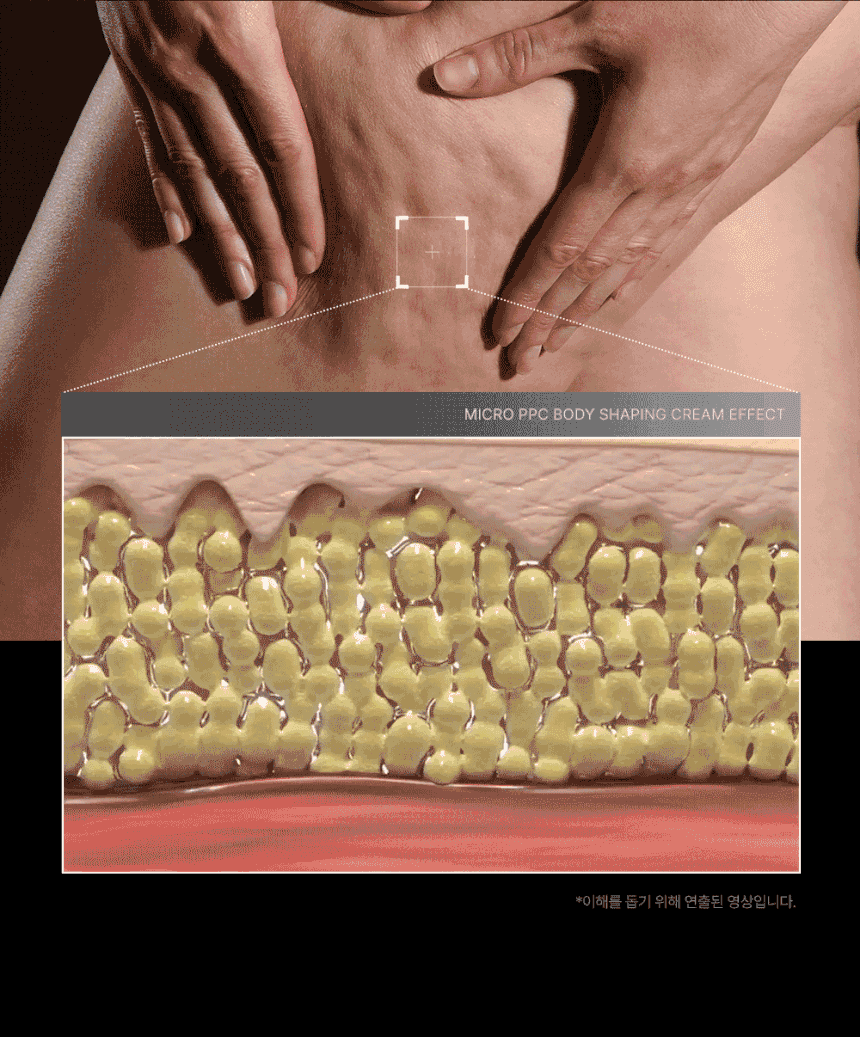 41.gif
