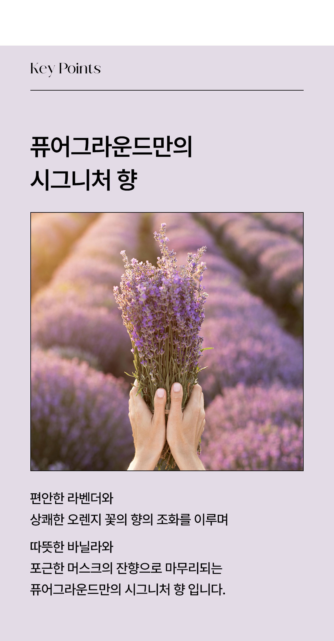 핸드크림_02.jpg