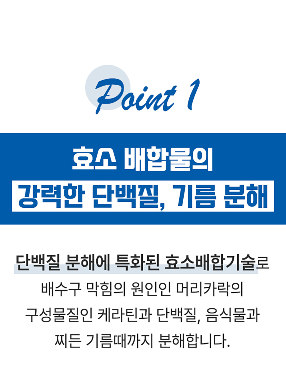 01_2_1.jpg