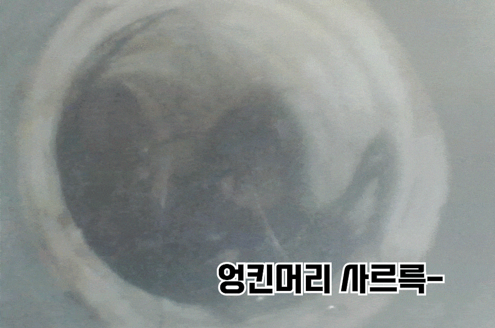 01_1_010-min.gif