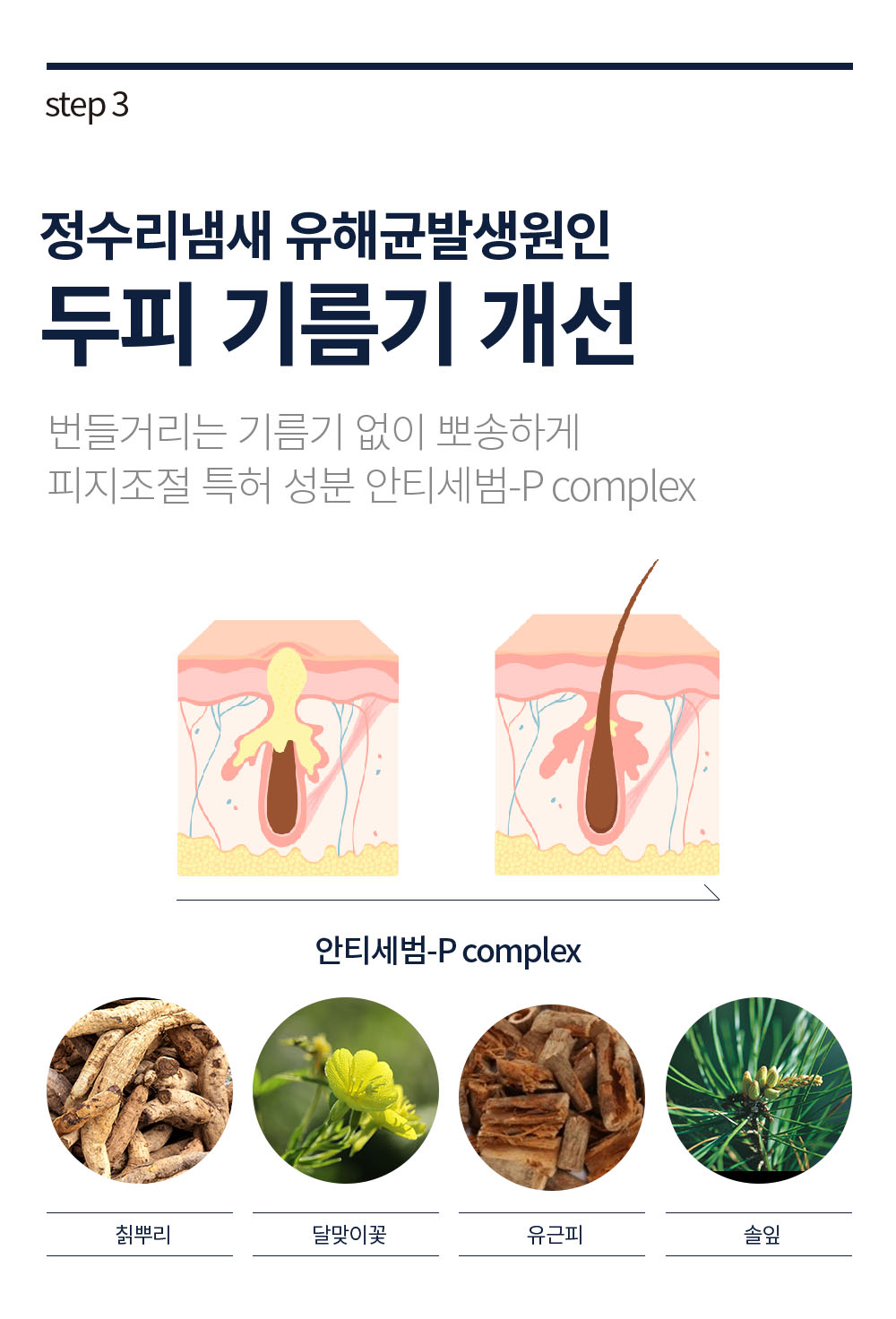 뷰캔 락토파 바이옴 샴푸 상세페이지 0427 17.jpg