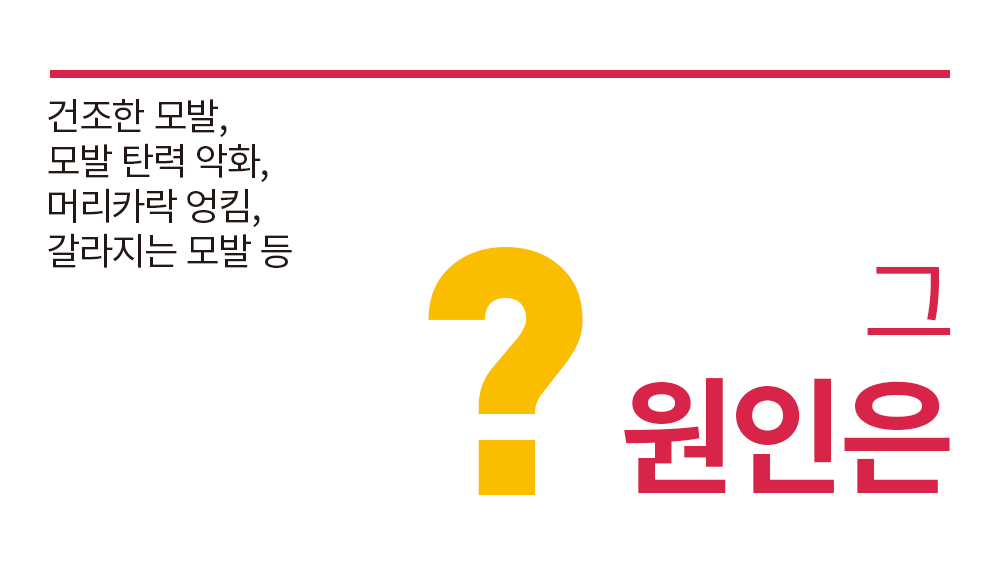트리트먼트 3.jpg
