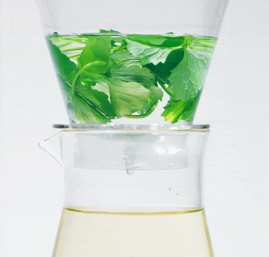 OP_Cica50_Panthenol_BodyLotion_03_gif.gif