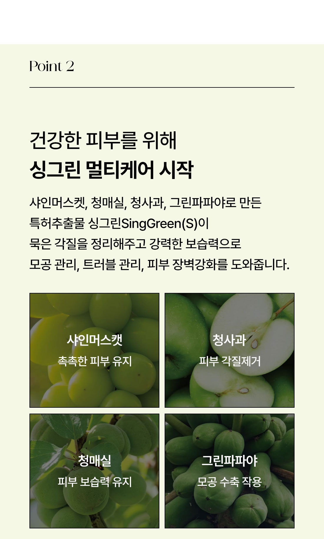세럼_05.jpg