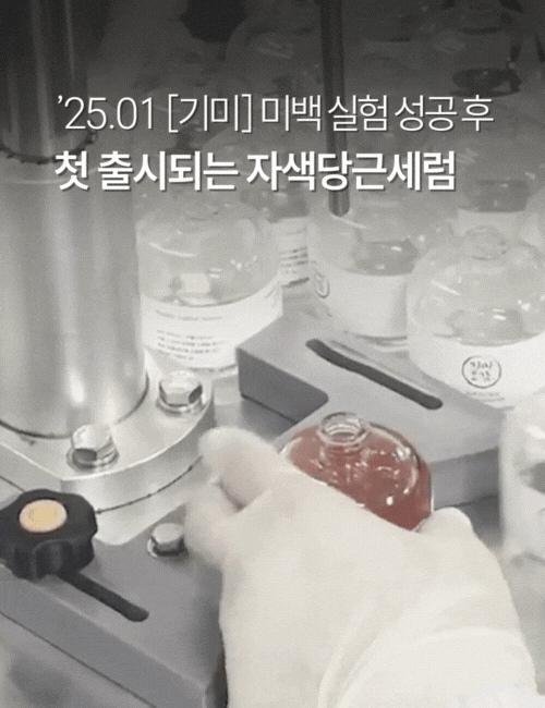 22.gif
