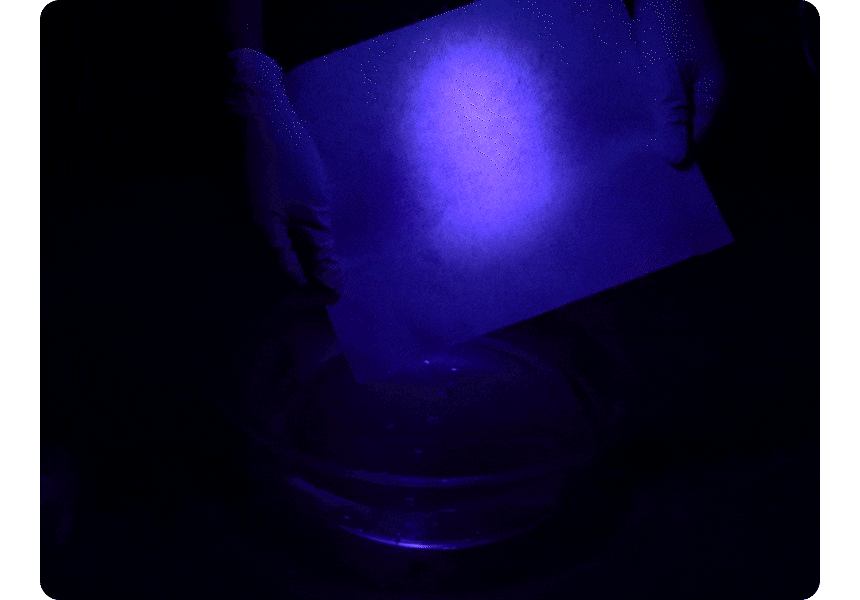 12.gif
