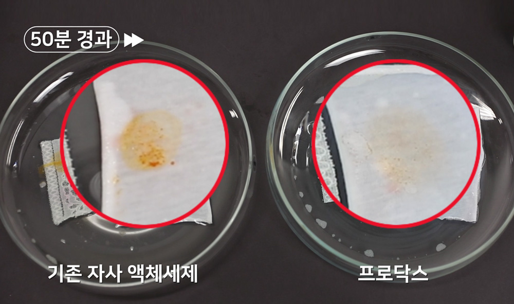 frohdachs_2023_21_gif안들어가는 사이트에 사용하세요.jpg