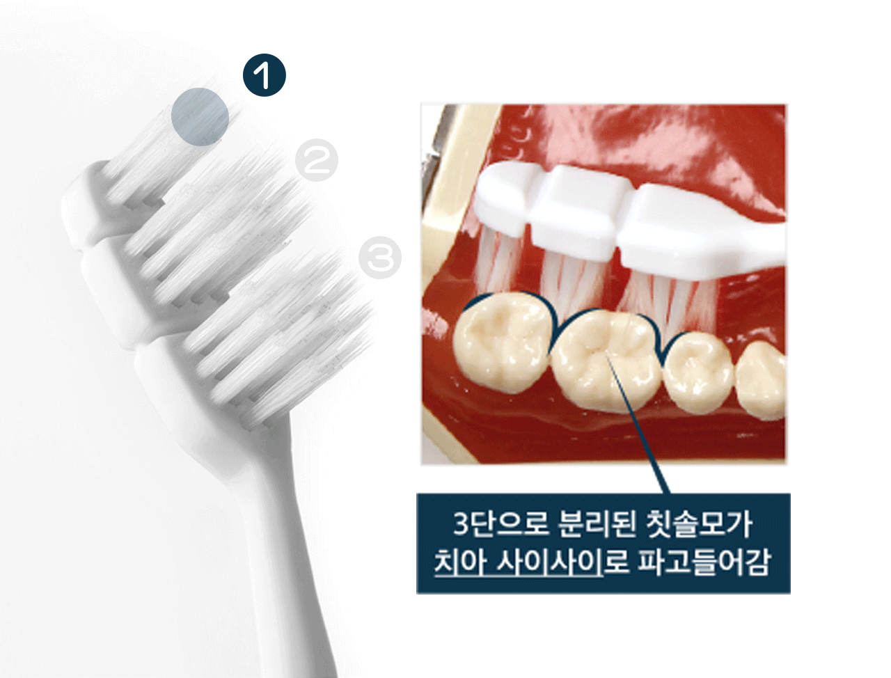 2_올인원케어.gif