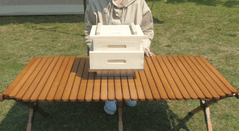 14.gif