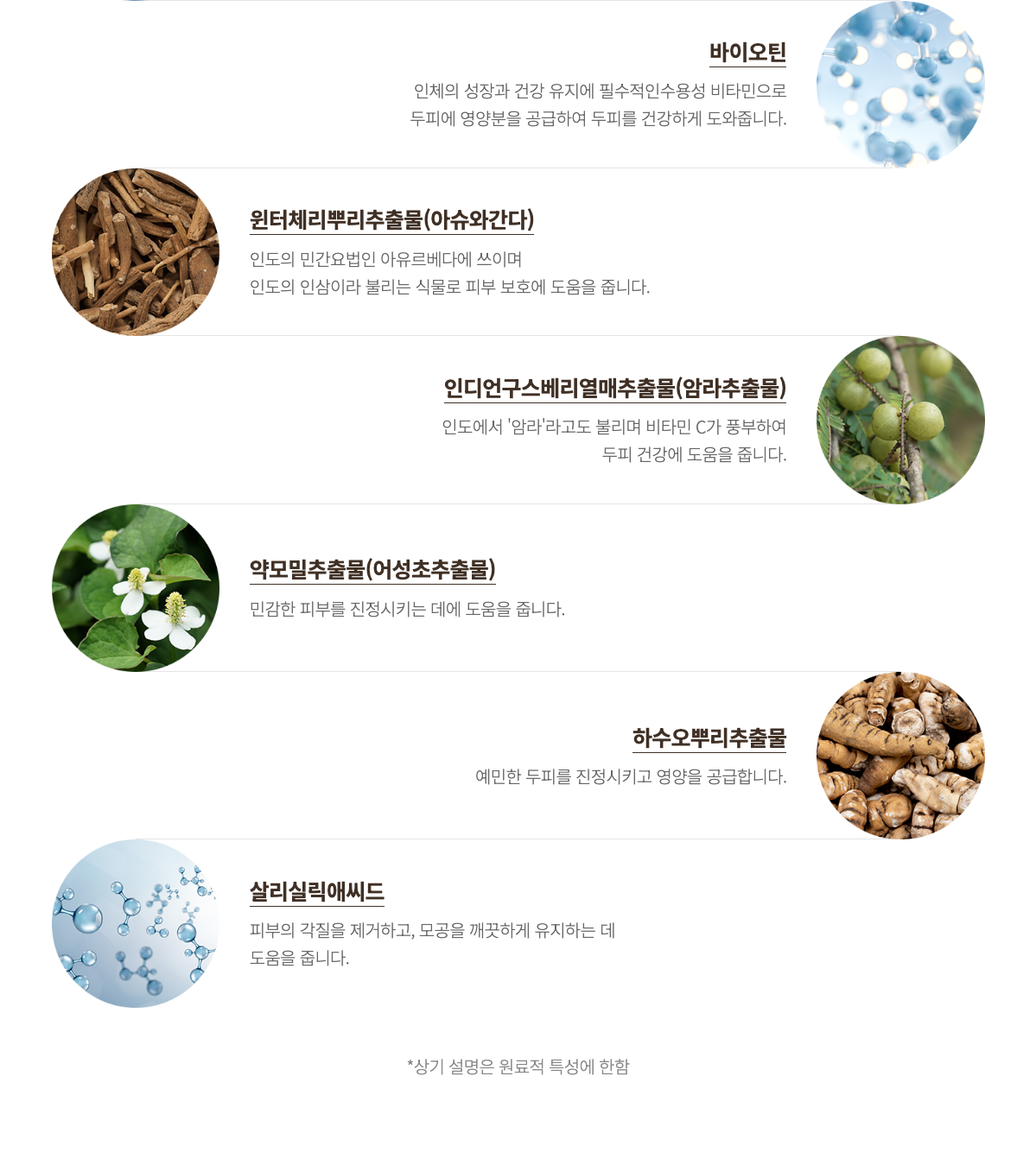 지쿱 스칼프 케어 샴푸 상세 7.png