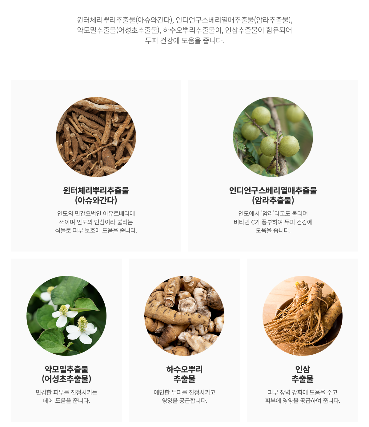 지쿱 스칼프 케어 샴푸 상세 4.png