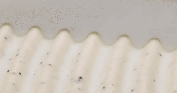심플리카캐비어크림 상세페이지_02.gif
