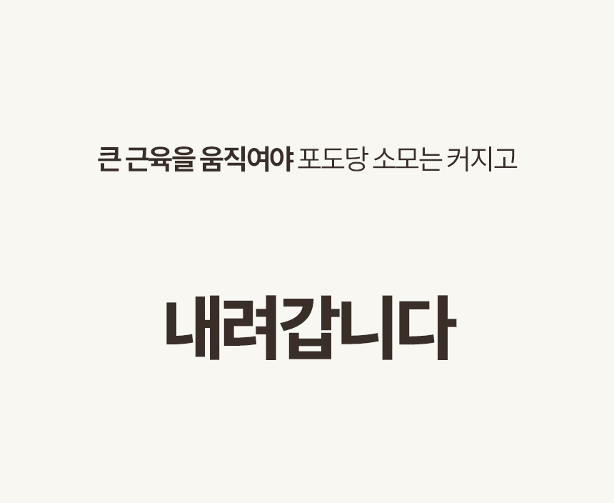 05.gif