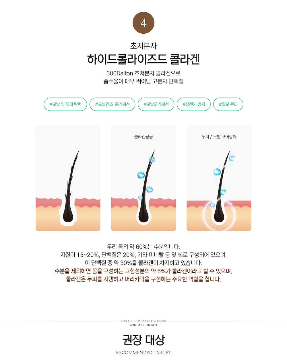 하라힐즈 프로 컬러오리진 4엔비 다크브라운 상세 9.png