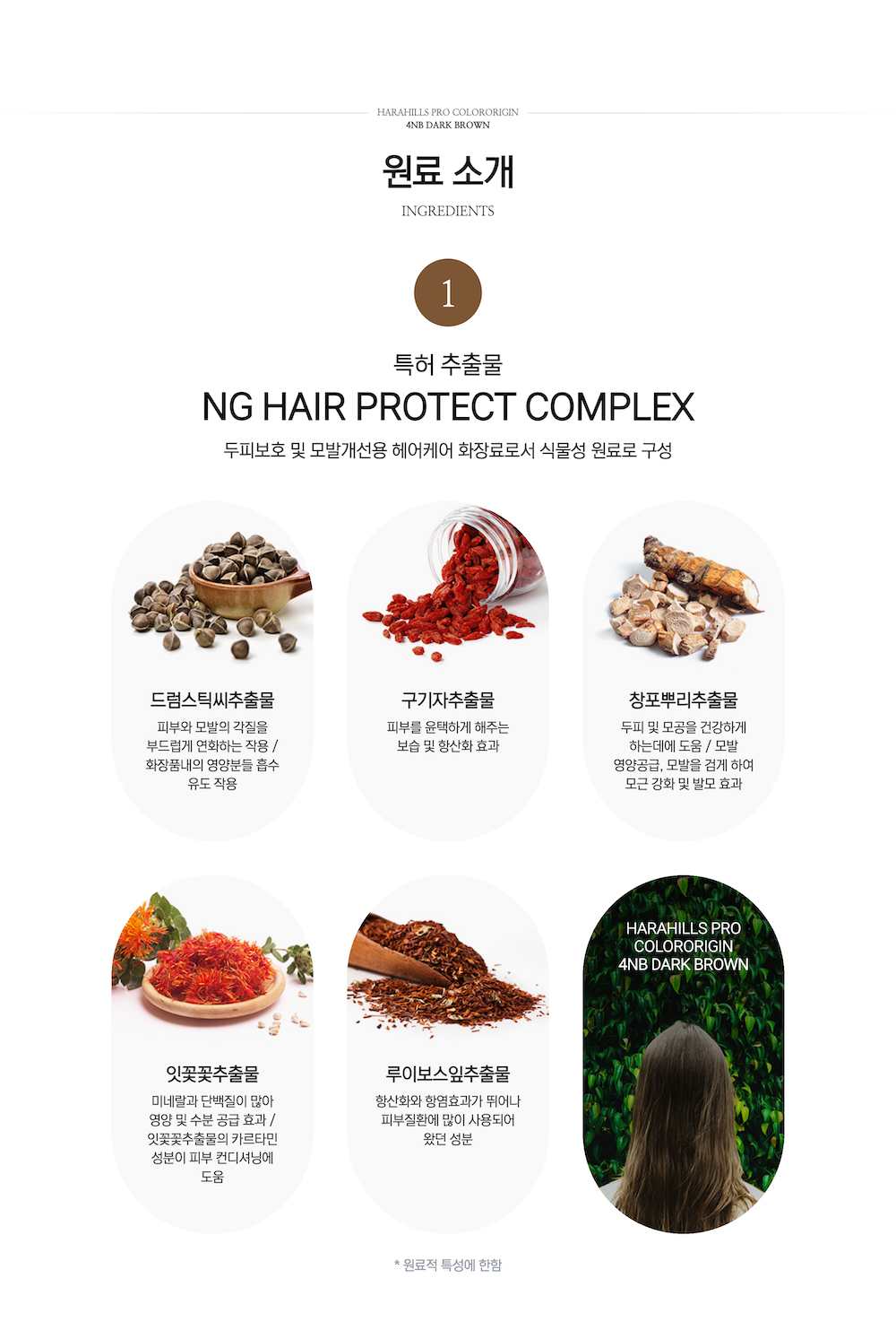 하라힐즈 프로 컬러오리진 4엔비 다크브라운 상세 6.png
