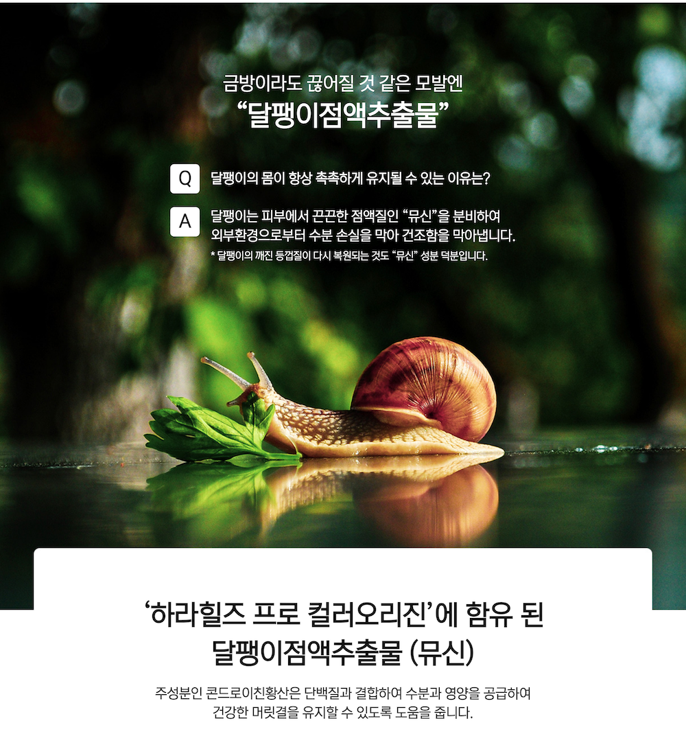 하라힐즈 프로 컬러오리진 4엔비 다크브라운 상세 3.png