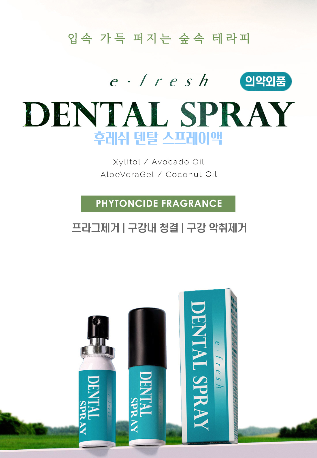 덴탈후레쉬1.jpg
