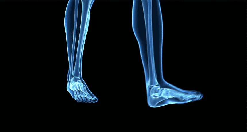 insole_12.gif