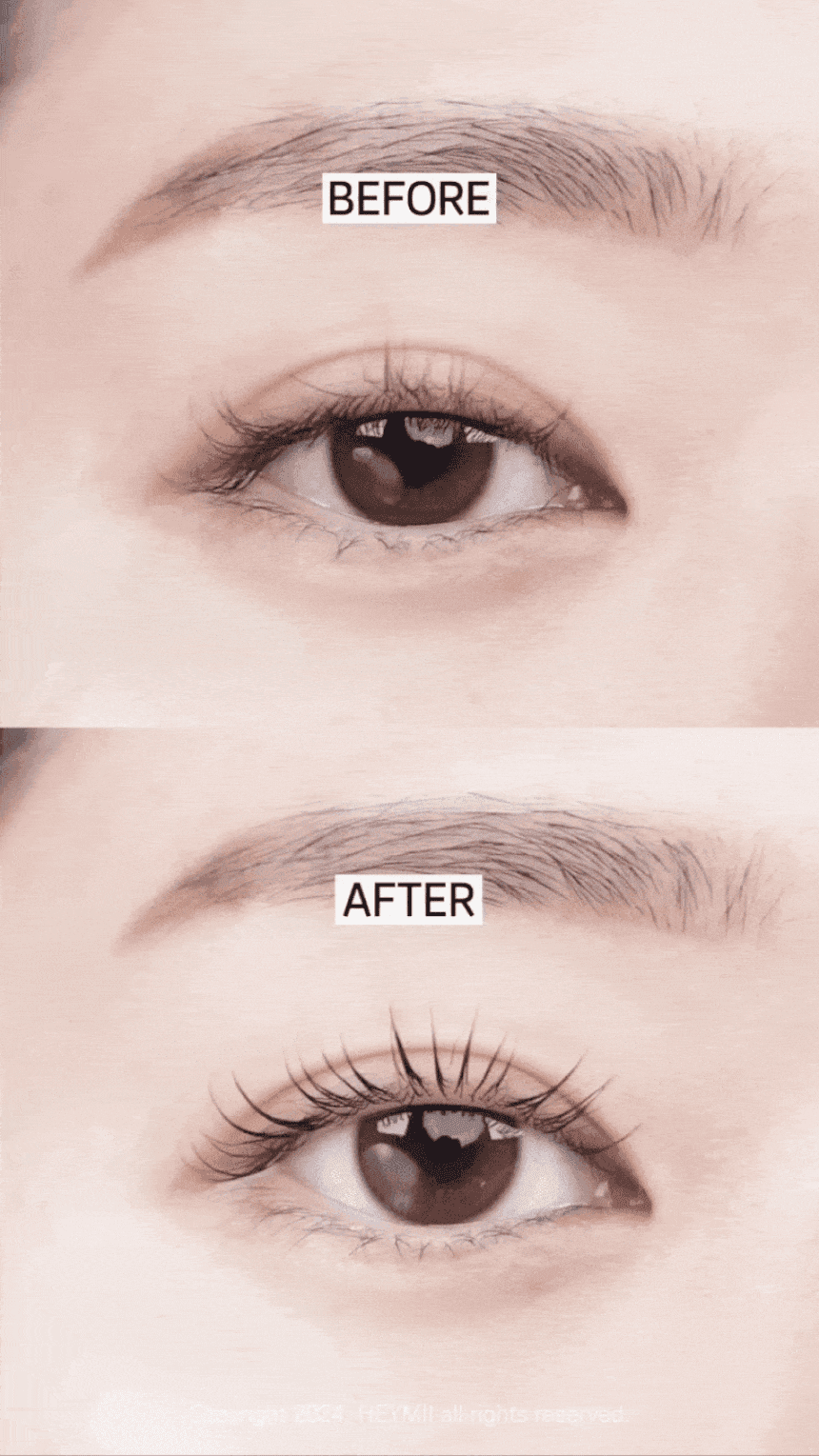 5.gif