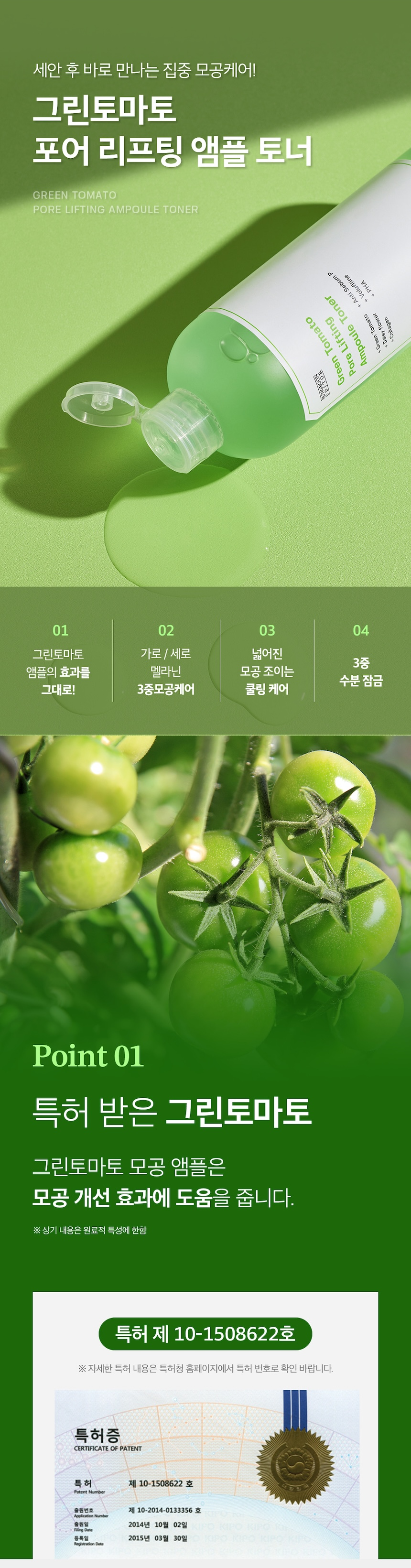 03GreenTomato2_182532.png 03GreenTomato2_182532.png