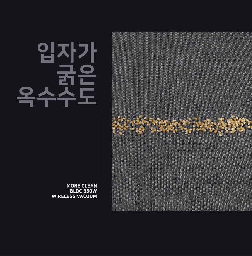 350w_11.gif