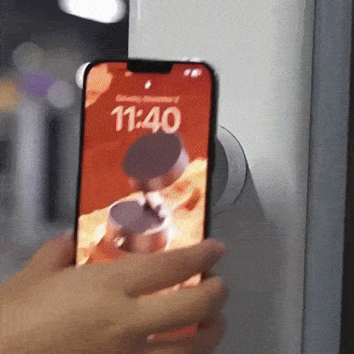 8.gif