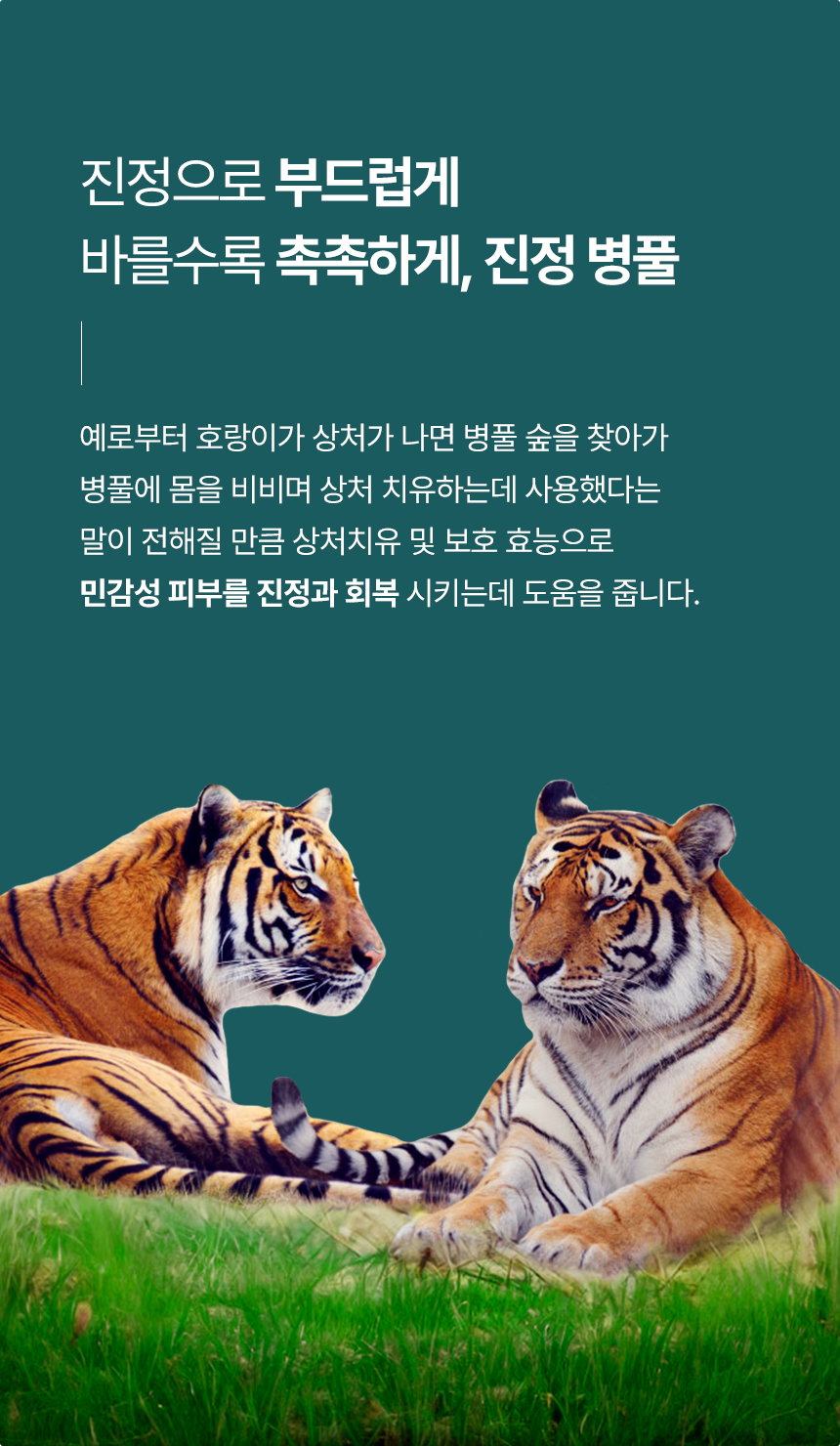 002.jpg