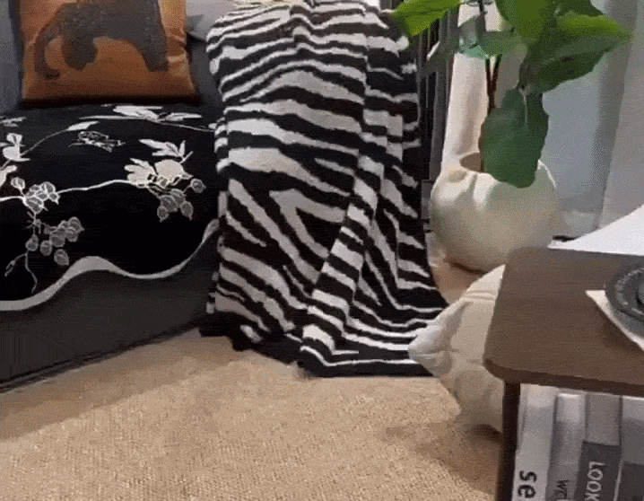 gif.gif