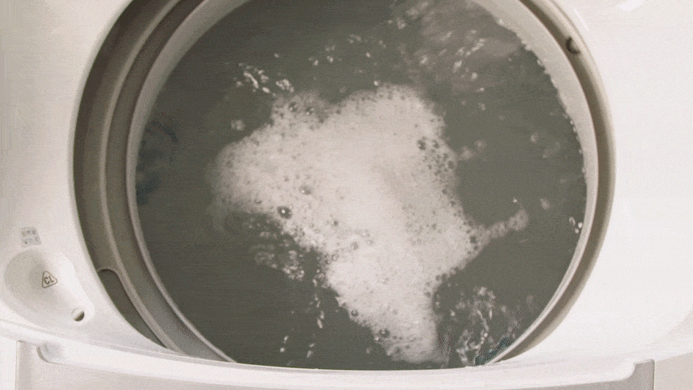 bas_capsule_setakjo_3_1_12-min.gif