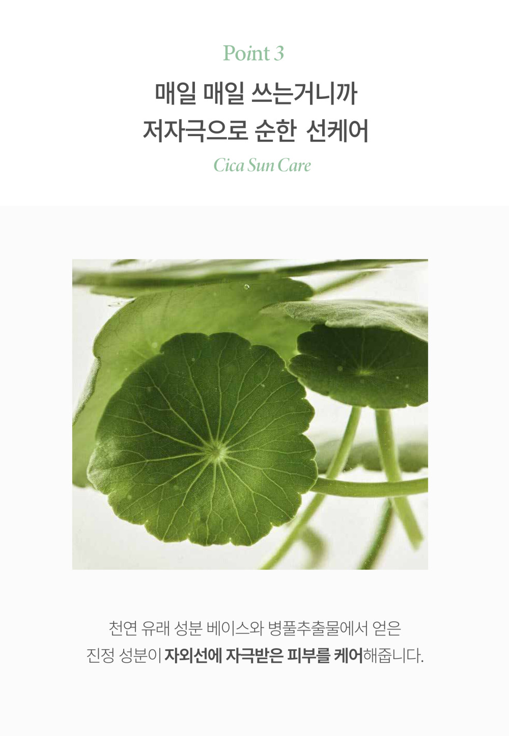 Cica Natural Tone up Suncream_detail pdf_page-0019 (2).jpg
