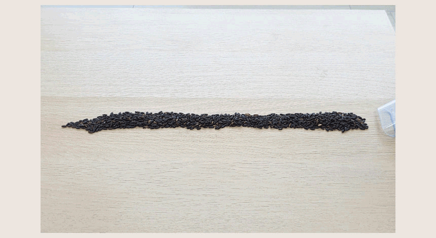 6.gif
