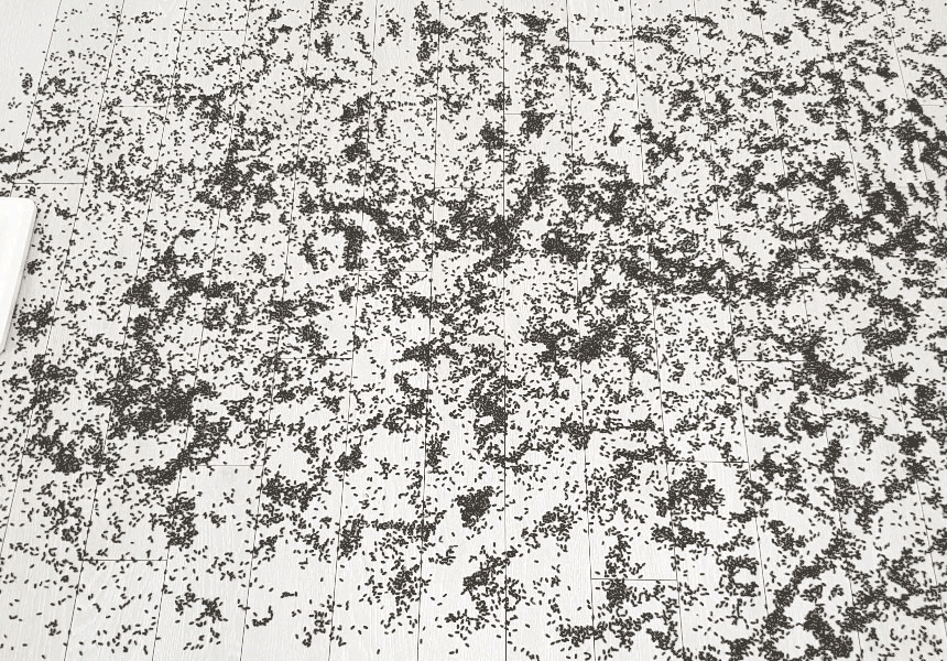 4.gif