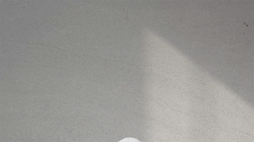 13.gif