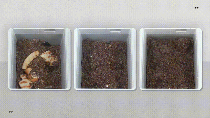 minymoe_foodwaste_new_11.gif