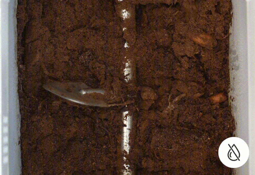 minymoe_MH1000G_25.jpg