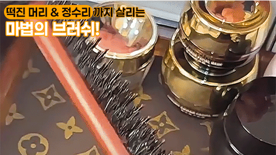 짤 (2).gif