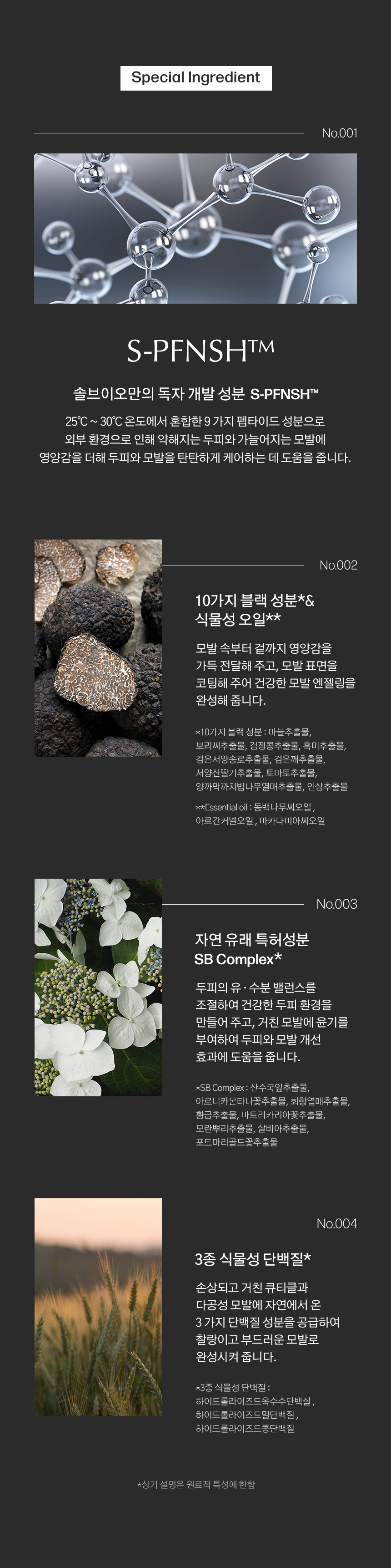 04.jpg