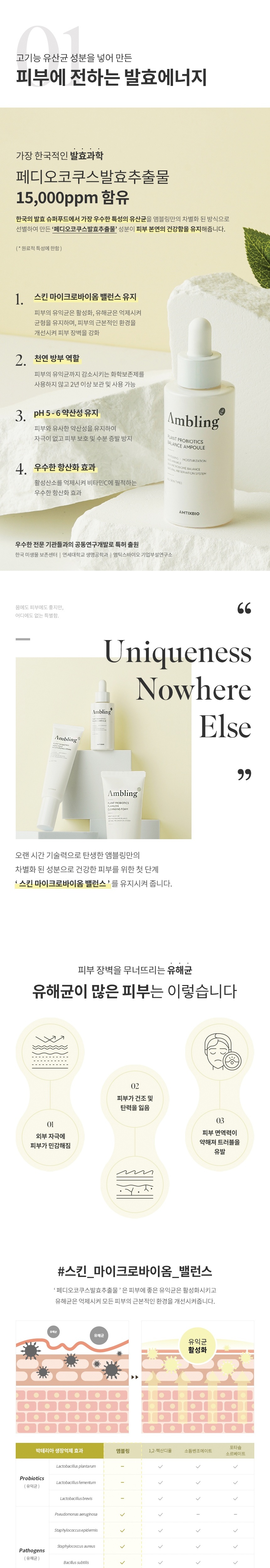 앰블링_앰플_리뉴얼_상세페이지()-002.jpg