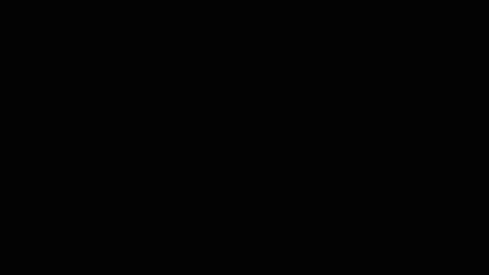 BF23_02.gif